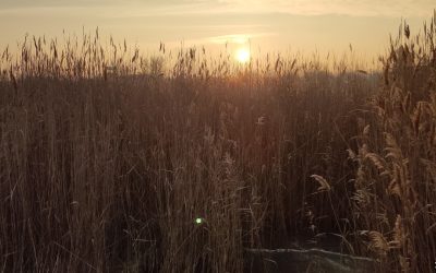 Hízik a jég a Velencei-tavon, de még nem lehet rálépni