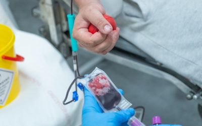 Civil véradás februárban