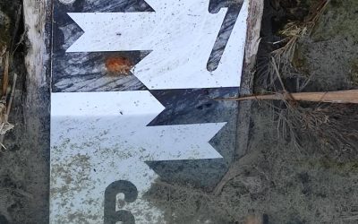 Árvíz a Dunán, emelkedett a Balaton és a Velencei-tó vízszintje is