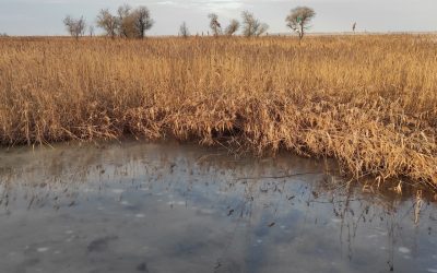 Életveszélyes a jégen tartózkodni