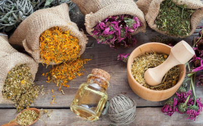 A gyógynövények kiszáradtak, elmarad a Herbarius-túra