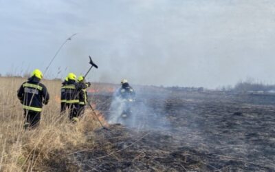 Eloltották a tüzet Várpalota közelében