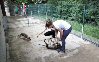 Izgalmas és hasznos – idén is napközis tábor a HEROSZ Állatotthonban
