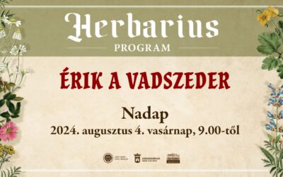 Érik a vadszeder – Nadapon lesz a következő Herbarius túra
