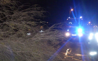 Országosan háromezer viharkár – Fehérváron is okozott életveszélyt egy ketté hasadt fa