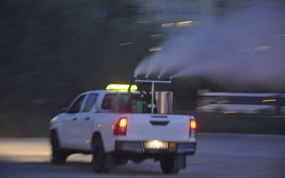 Harapnak a szúnyogok, Fehérváron folyamatos a gyérítés