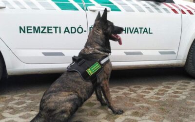 Újra négylábú munkatársakat keres a NAV