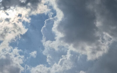 Ismét elolvadt a jég a Velencei-tavon, melegszik az idő