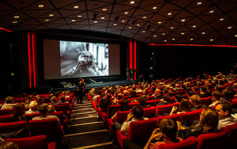 Frankofón Filmnapok a Barátság Moziban, sikerfilmekkel