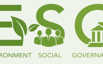 EFOTT: egyetemi szabadulószobától a karbonsemleges cégekig – életünk egyre több területét alakítja át az ESG