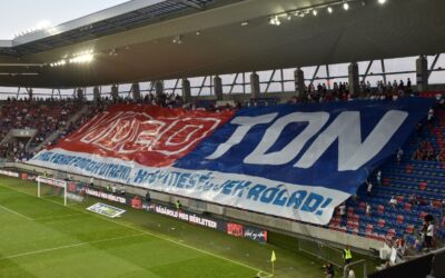 Vidi: licenc van, új tulaj/befektető május-júniusban lehet