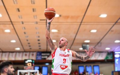 Vojvoda ismét megsérült, a franciák ellen sem játszhat