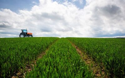 Adócsökkentés a mezőgazdasági szektorban