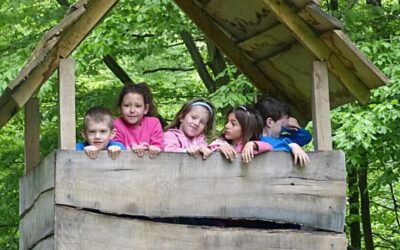 Folytatódik az Iskolában az Erdő Program