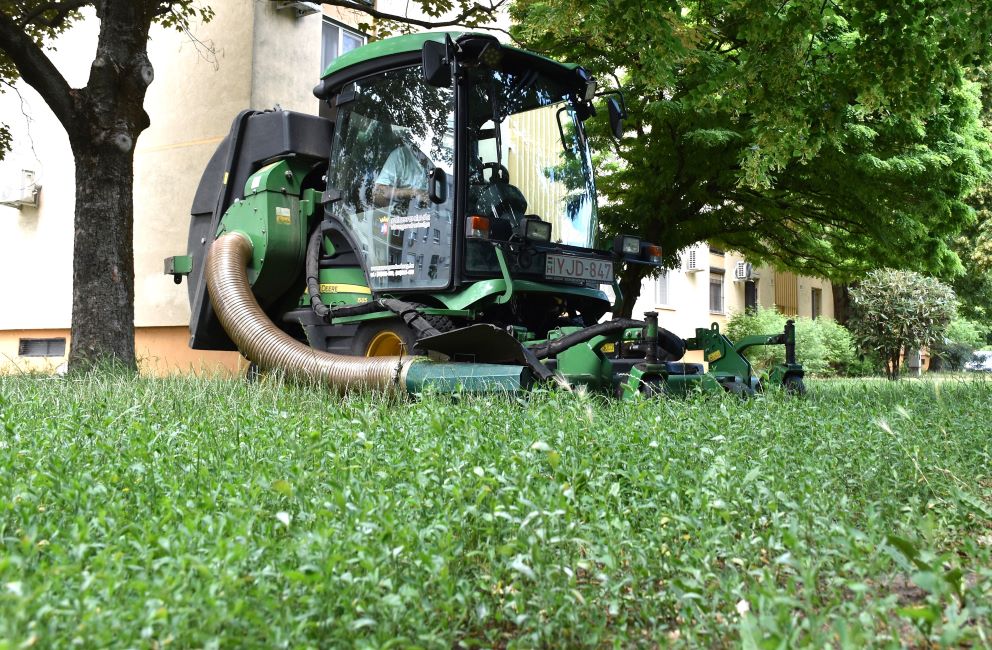 Fókuszban a fűnyírás – vasárnapig lehet még voksolni